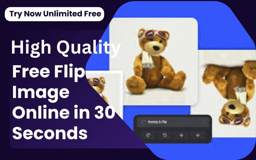 Flip Image Online